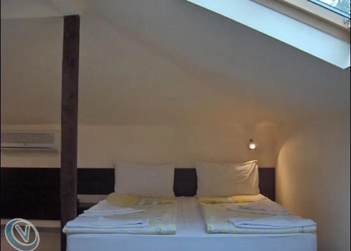 Family Phoenix Kiten (Burgas)